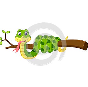Cute green snake cartoon