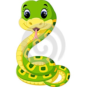 Cute green snake cartoon photo