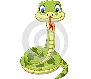 Cute green snake cartoon on white background