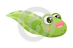 Cute Green Tadpole Cartoon Character Vector Illustration