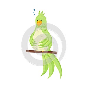 Cute green tropical parrot is sleeping in his cage at stick