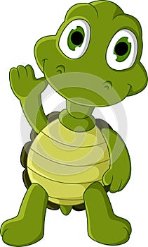Cute green turtle cartoon