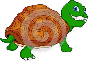 Cute green turtle cartoon