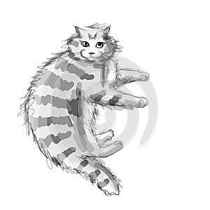 Cute grey cat, sketch for your design