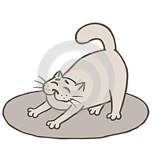 Cute grey cat woke up and stretched on mat. Vector illustration
