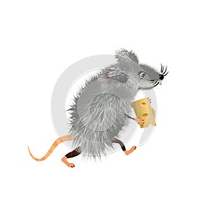 Cute grey downy cartoon mouse with a piece of cheese, mice cute wild or domestic animal, vector character. Rat furry rodent mascot