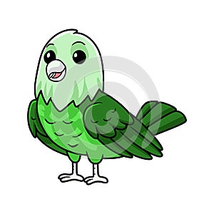 Cute grey headed love bird cartoon