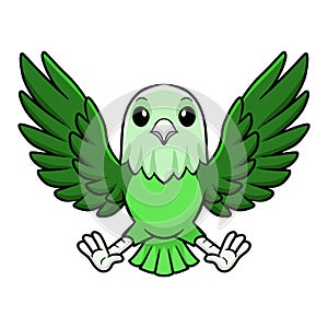 Cute grey headed love bird cartoon flying