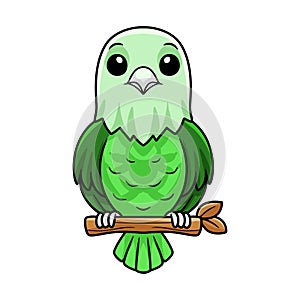 Cute grey headed love bird cartoon on tree branch