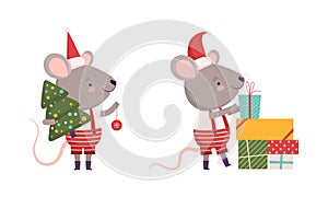 Cute Grey Mouse in Christmas Santa Hat Holding Gift Box and Carrying Fir Tree Vector Set