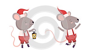 Cute Grey Mouse in Christmas Santa Hat Jumping with Joy and Carrying Lantern Vector Set