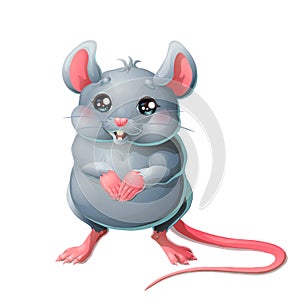 The cute grey mouse on white background