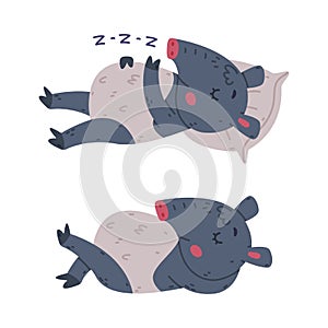 Cute Grey Tapir Animal with Proboscis Lying and Sleeping on Pillow Vector Se