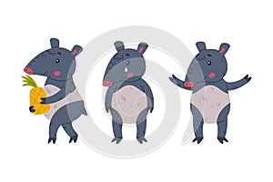 Cute Grey Tapir Animal with Proboscis Standing, Crying and Carrying Pineapple Vector Set