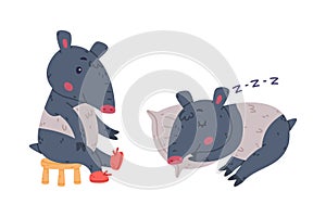 Cute Grey Tapir Animal with Proboscis Wearing Shoes and Sleeping on Pillow Vector Set