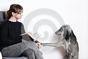 Cute greyhound distract his owner young woman while she reading book. beggar concept photo
