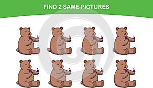 Cute Grizzly Brown Bear. Find two same pictures