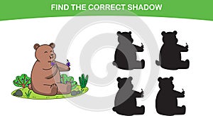Cute Grizzly Brown Bear. found the correct shadow