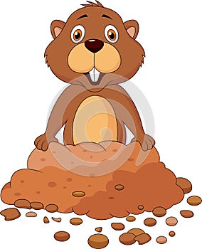 Cute groundhog cartoon