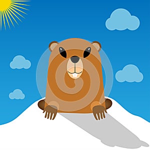 Cute groundhog popping up from his burrow. Sun