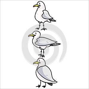 Cute group of seagulls cartoon vector illustration motif set. Hand drawn isolated seaside wildlife elements clipart for nautical