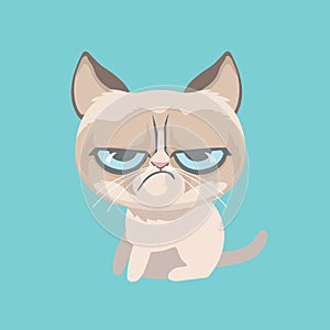 Cute grumpy cat.