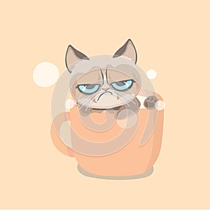 Cute grumpy cat.