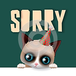 Cute grumpy cat apologize sorry card photo