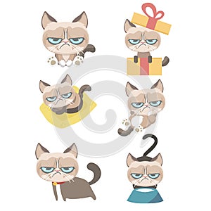 Funny vector set of grumpy cat.