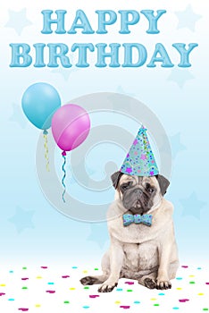 Cute grumpy faced pug puppy dog with party hat, balloons, confetti and text happy birthday, on blue background