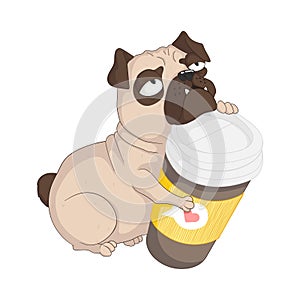 Cute grumpy pug dog with mug of coffee. Morning routine. Hand drawn vector illustration in cartoons style.