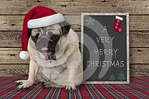 Cute grumpy pug puppy dog with red santa hat sitting next to blackboard sign with text very merry Christmas, on wooden background