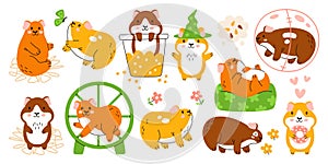 Cute guinea pig domestic pet animal character different everyday leisure activities isolated set