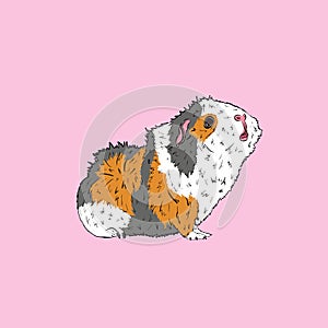 Cute Guinea Pig or Guineapig Pet Cartoon Illustration in Vector