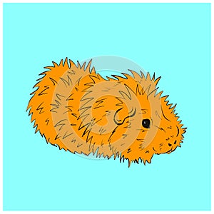 Cute Guinea Pig or Guineapig Pet Cartoon Illustration in Vector