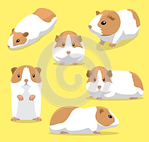 Cute Guinea Pig Poses Cartoon Vector Illustration