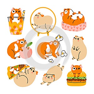 Cute guinea pigs characters, vector illustration set