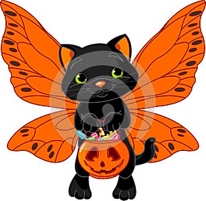 Cute Halloween cat