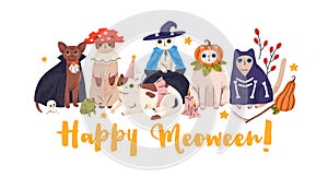Cute Halloween cats disguised in funny costumes for holiday party. Happy Meoween, pets Helloween card with adorable