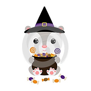 Cute Halloween opossum in witch hat holding a pot with candies. Cartoon animal character for kids t-shirts, nursery