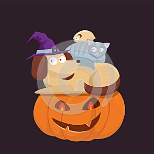 Cute Halloween pets, cat, hamster and dog in a witch hat sitting on each other and a Halloween pumpkin with frightened faces. Flat