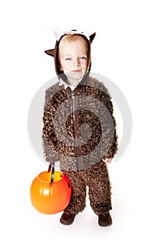 Cute Halloween Trick-or-Treater photo