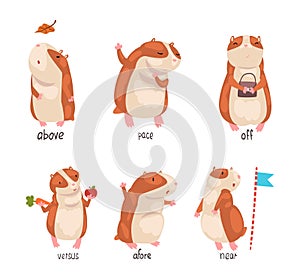 Cute hamster demonstrating English language prepositions of place set. Above, pace, off, versus, afore words