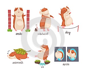 Cute hamster demonstrating English language prepositions of place set. Back off, along, underneath, via, across words
