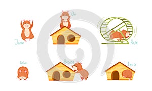 Cute hamster demonstrating English language prepositions of place and verbs set vector illustration