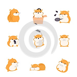 Cute Hamster Eating Seeds Set, Adorable Funny Pet Animal Characters Cartoon Vector Illustration