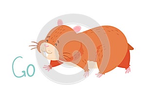 Cute Hamster Going Demonstrating English Verb Vector Illustration