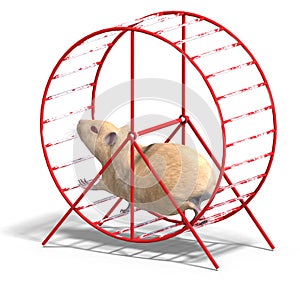 Cute hamster in a hamster wheel