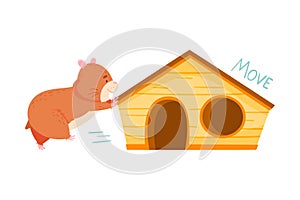 Cute Hamster Moving House Demonstrating English Verb Vector Illustration