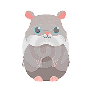 Cute hamster rodent cartoon isolated white background design